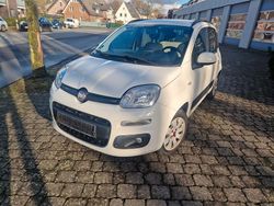 Weiß Gebraucht 2012 Fiat Panda Lounge Kleinwagen | 4.300 € (Etwas zu teuer)