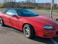 Rot Gebraucht 1999 Chevrolet Camaro Cabrio | 12.000 € (Fairer Preis)
