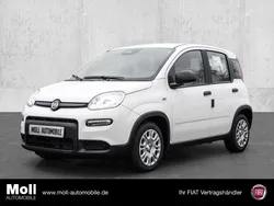 Weiß Neu 2024 Fiat Panda Kleinwagen | 14.950 €