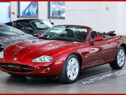 Rot Gebraucht 1997 Jaguar XK8 Cabrio | 37.500 €