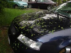 Schwarz Gebraucht 2006 VW Golf V Kombi | 1.500 € (Guter Preis)