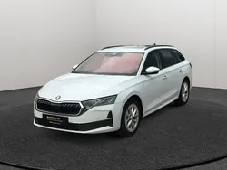 Weiss Gebraucht 2024 Skoda Octavia Selection Kombi | 34.922 € (Etwas zu teuer)