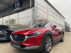 Rot Gebraucht 2019 Mazda CX-30 Selection SUV | 19.300 € (Fairer Preis)