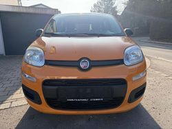 Orange Gebraucht 2021 Fiat Panda Kleinwagen | 8.990 € (Superpreis)
