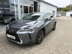 Grau Gebraucht 2021 Lexus UX 250h E-FOUR SUV | 25.000 € (Fairer Preis)
