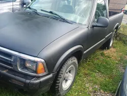 Rot Gebraucht 1998 Chevrolet S10 Abholung | 2.200 €