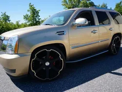 Gold Gebraucht 2006 Cadillac Escalade SUV | 12.000 €