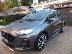 Grau Gebraucht 2023 Ford Fiesta Kleinwagen | 14.980 € (Superpreis)