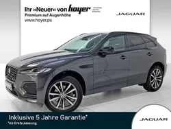 Grau Gebraucht 2024 Jaguar F-Pace R-Dynamic SUV | 43.480 € (Fairer Preis)