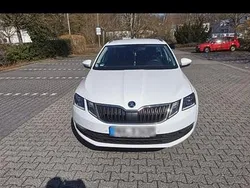 Weiß Gebraucht 2018 Skoda Octavia Kombi | 9.999 € (Guter Preis)
