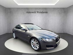 Grau Gebraucht 2016 Jaguar XF Prestige Limousine | 16.999 € (Fairer Preis)