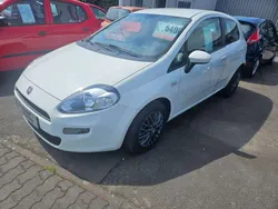 Colore esterno (bianco divino) Gebraucht 2013 Fiat Punto Kleinwagen | 5.490 € (Etwas zu teuer)
