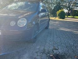 Violet Gebraucht 2003 VW Polo Kleinwagen | 350 € (Guter Preis)
