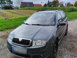 Grau Gebraucht 2007 Skoda Fabia Kleinwagen | 2.250 € (Teuer)