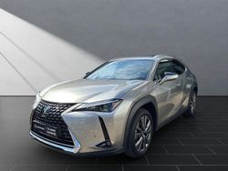 Silber Gebraucht 2023 Lexus UX 250h Executive Line SUV | 36.990 €