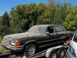 Grün Gebraucht 1977 Mercedes E280 Limousine | 8.000 €
