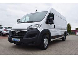 Casablanca weiss Gebraucht 2024 Opel Movano Van | 24.371 €