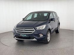 Blau Gebraucht 2019 Ford Kuga Trend SUV | 14.290 € (Guter Preis)