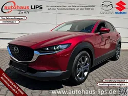 Rot Gebraucht 2020 Mazda CX-30 Selection SUV | 20.990 € (Fairer Preis)