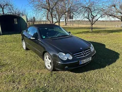 Schwarz Gebraucht 2004 Mercedes CLK320 Cabrio | 8.800 € (Fairer Preis)