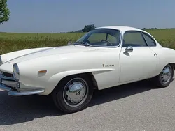 Weiß Gebraucht 1964 Alfa Romeo Giulia | 115.000 €