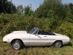 Weiß Gebraucht 1979 Alfa Romeo Spider Cabrio | 19.500 €