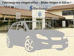 Grau Gebraucht 2025 VW T-Roc Goal SUV | 34.690 € (Guter Preis)