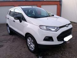 Weiß Gebraucht 2017 Ford Ecosport SUV | 8.750 € (Etwas zu teuer)