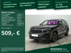 Blackmagic perleffekt Gebraucht 2024 Skoda Kodiaq Selection SUV | 41.989 € (Fairer Preis)