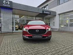 Gebraucht 2024 Mazda CX-30 Homura-Line SUV | 30.860 € (Fairer Preis)