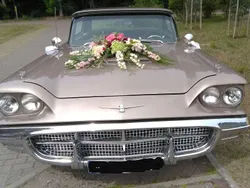 Braun Gebraucht 1960 Ford Thunderbird Coupé | 25.000 €