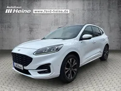 Frost weiß Gebraucht 2022 Ford Kuga ST-Line X SUV | 24.890 € (Fairer Preis)