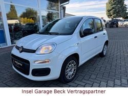 Weiß Gebraucht 2020 Fiat Panda Kleinwagen | 8.290 € (Fairer Preis)