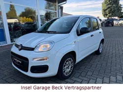 Weiß Gebraucht 2020 Fiat Panda Kleinwagen | 8.290 € (Fairer Preis)