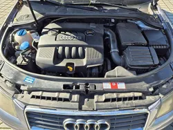 Grau Gebraucht 2003 Audi A3 Attraction Kleinwagen | 3.300 € (Etwas zu teuer)
