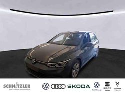 Grau Gebraucht 2023 VW Golf VIII S Limousine | 25.950 € (Fairer Preis)