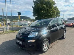 Schwarz Gebraucht 2019 Fiat Panda Easy Kleinwagen | 5.990 € (Superpreis)