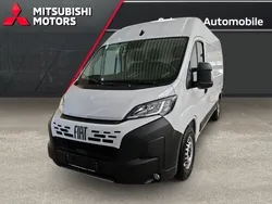 Ducato weiß (weiss) Neu 2025 Fiat Ducato Van | 38.280 € (Guter Preis)
