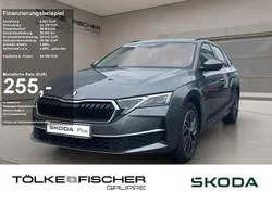 Grau Gebraucht 2025 Skoda Octavia Selection Kombi | 34.789 € (Guter Preis)