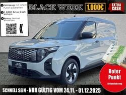 Cactus grey Neu 2025 Ford Transit Trend Kleinwagen | 30.540 € (Guter Preis)
