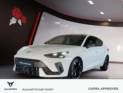 "nevada" weiss Gebraucht 2025 Cupra Leon Limousine | 30.880 € (Fairer Preis)