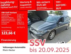 Grau Gebraucht 2021 VW Golf VIII Life Kombi | 17.192 € (Fairer Preis)