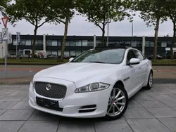 Weiß Gebraucht 2014 Jaguar XJL Portfolio Limousine | 17.950 €