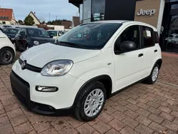 Weiß Neu 2024 Fiat Panda Kleinwagen | 15.780 €