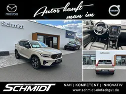 Beige Gebraucht 2024 Volvo XC40 Ultra SUV | 43.990 €