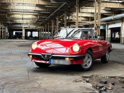 Rot Gebraucht 1985 Alfa Romeo Spider Cabrio | 16.115 €
