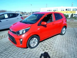 Rot Gebraucht 2017 Kia Picanto Kleinwagen | 8.600 € (Fairer Preis)