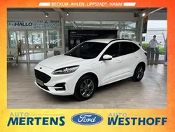 Weiß Gebraucht 2023 Ford Kuga ST-Line X SUV | 30.990 € (Fairer Preis)