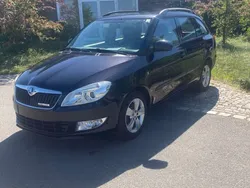 Schwarz Gebraucht 2013 Skoda Fabia GreenLine Kombi | 6.450 € (Etwas zu teuer)