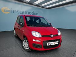 Rot Neu 2025 Fiat Panda Kleinwagen | 15.499 € (Fairer Preis)